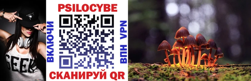 Галлюциногенные грибы мицелий  Гусиноозёрск 