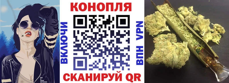 Бошки марихуана OG Kush Гусиноозёрск